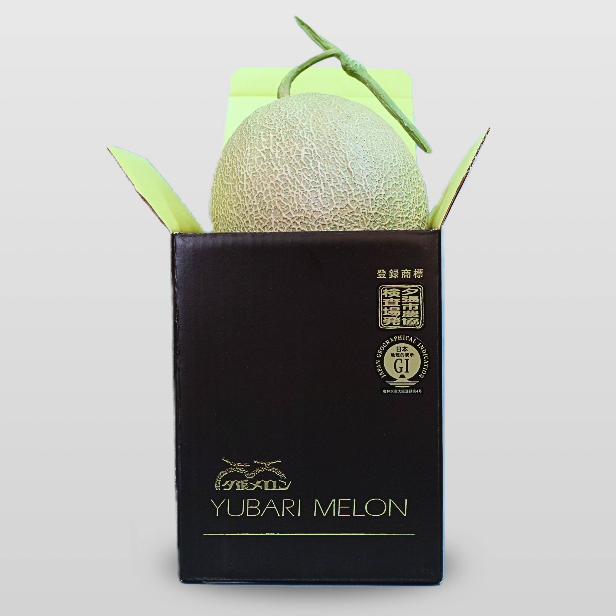 夕張メロン【プレミアムBOX 秀品】1玉(1.6kg前後)